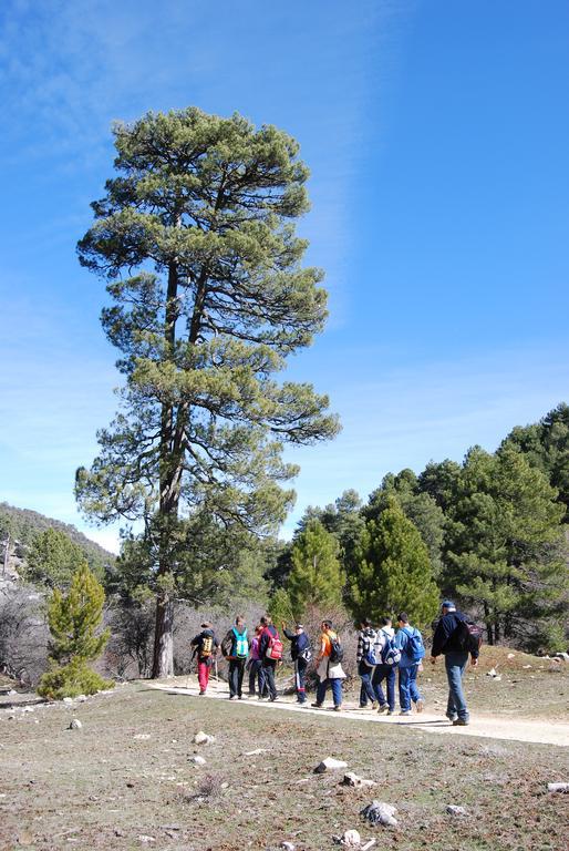 Inturjoven Hostal Cazorla